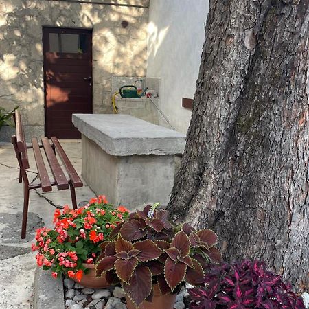 Apartment Marina Rijeka Zewnętrze zdjęcie