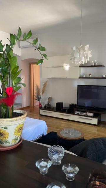 Apartment Marina Rijeka Zewnętrze zdjęcie