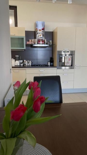 Apartment Marina Rijeka Zewnętrze zdjęcie